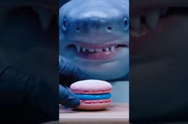 Sweet Bite: Shark Tries French Macaron | ASMR Eating.