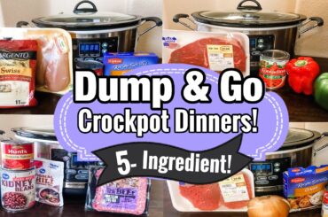 6 DUMP & GO CROCKPOT DINNERS | TASTY *5 INGREDIENT* RECIPES  | JULIA PACHECO