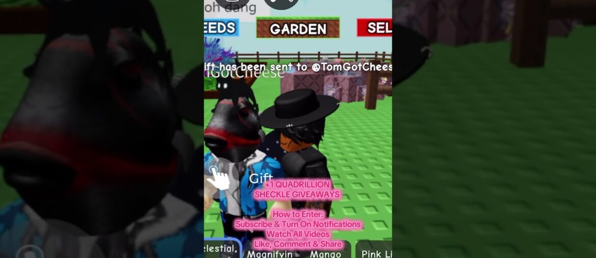 +1 QUADRILLION SHECKLE GIVEAWAYS @dariusfarmss +1 QUADRILLION SHECKLE GIVEAWAYS @dariusfarmss