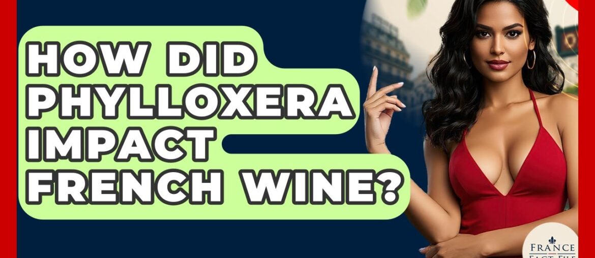 How Did Phylloxera Impact French Wine? - France Fact File