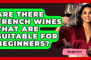 Are There French Wines That Are Suitable for Beginners? - Fine Wine Facts