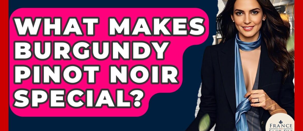 What Makes Burgundy Pinot Noir Special? - France Fact File