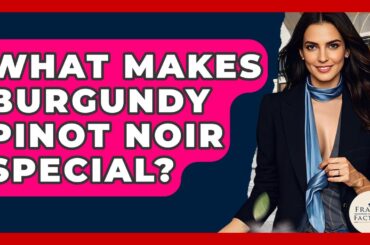 What Makes Burgundy Pinot Noir Special? - France Fact File