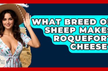What Breed Of Sheep Makes Roquefort Cheese? - France Fact File