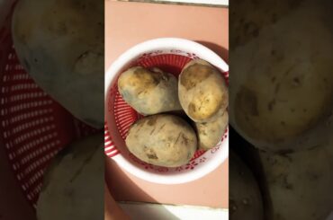 French fires recipe (Air Fryer)