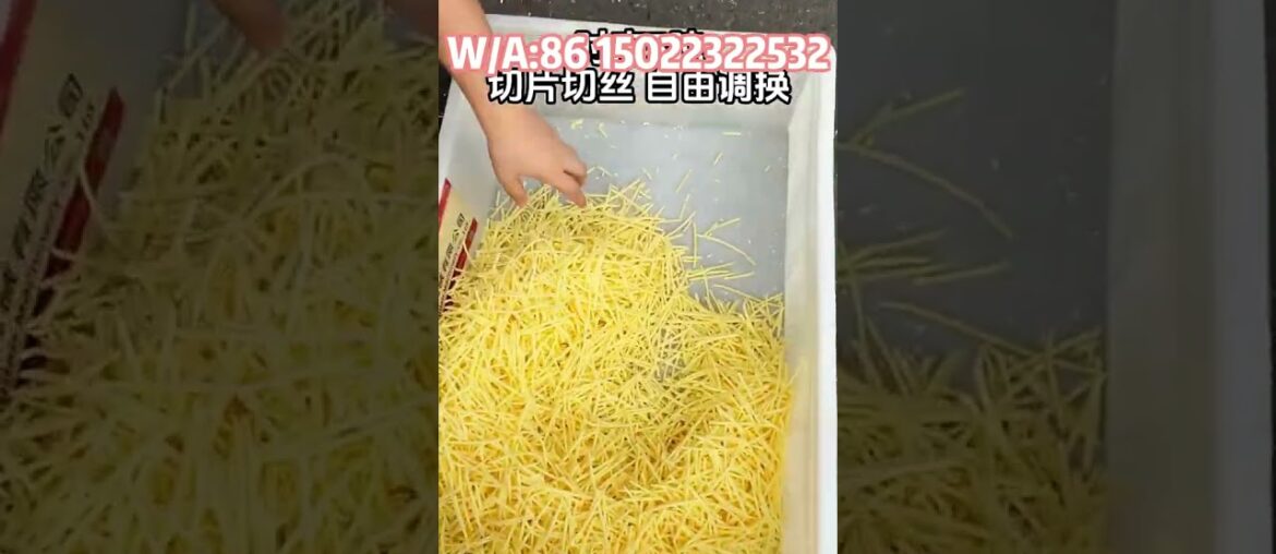 French fry recipes French fry recipes