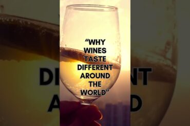 “Why Wines Taste Different Around the World”