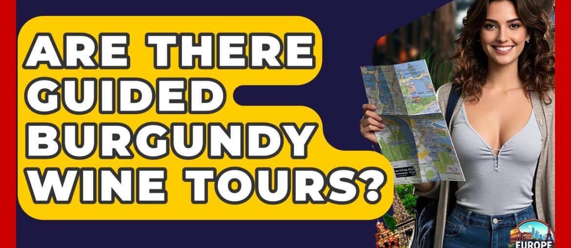 Are There Guided Burgundy Wine Tours? - Europe Travel Pros
