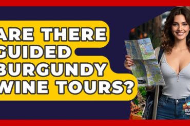 Are There Guided Burgundy Wine Tours? - Europe Travel Pros