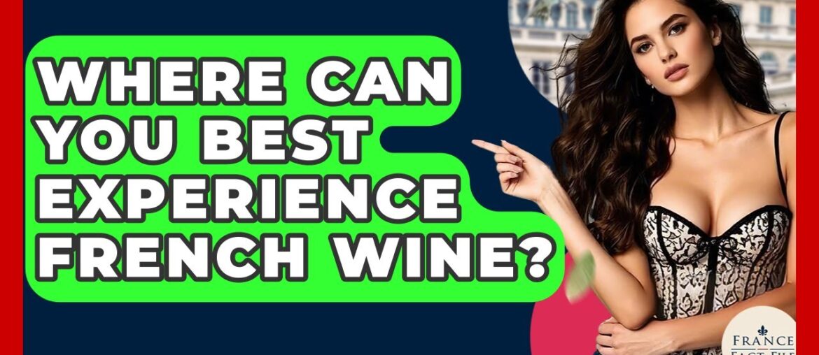 Where Can You Best Experience French Wine? – France Fact File Where Can You Best Experience French Wine? - France Fact File