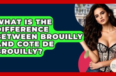 What Is The Difference Between Brouilly And Cote De Brouilly? - France Fact File