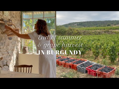 End of summer and grape harvest in Burgundy End of summer and grape harvest in Burgundy
