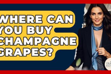 Where Can You Buy Champagne Grapes? - France Fact File