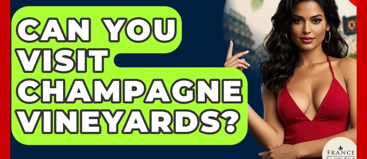 Can You Visit Champagne Vineyards? – France Fact File Can You Visit Champagne Vineyards? - France Fact File