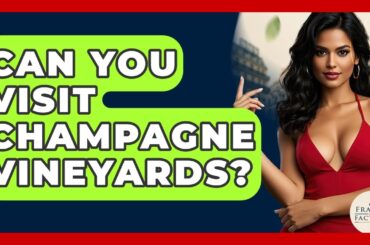 Can You Visit Champagne Vineyards? - France Fact File