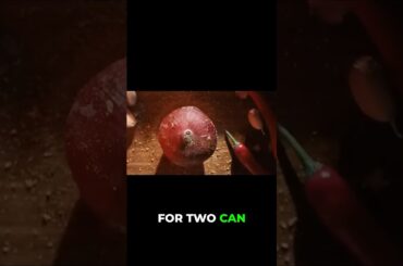 Inside Monaco’s Michelin-Star Dining & Luxury Lifestyle