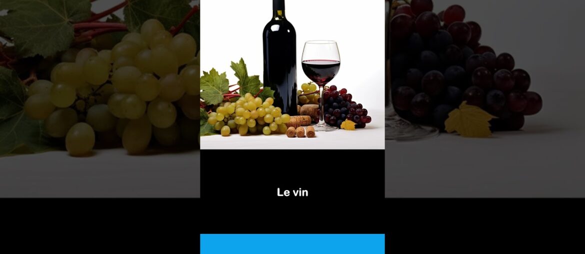 Say it in French I The wine Say it in French I The wine