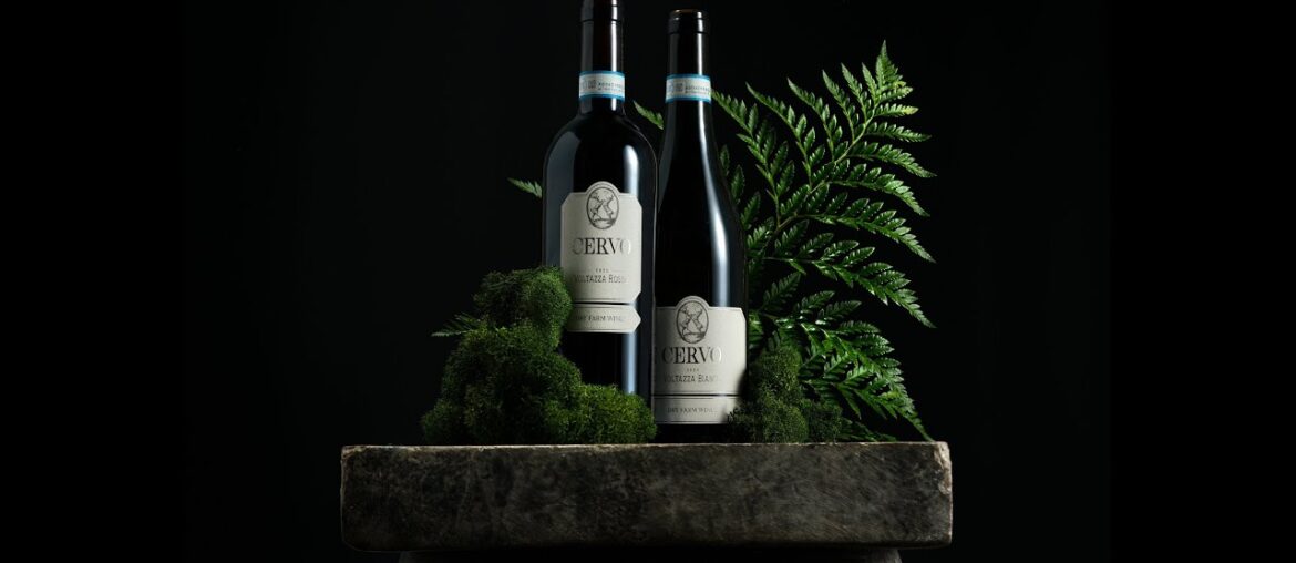 Introducing Cervo by Dry Farm Wines Introducing Cervo by Dry Farm Wines