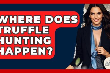 Where Does Truffle Hunting Happen? - France Fact File