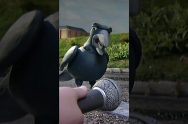 This Gourmet Bird Eats Duck! | Creature Comforts #shorts