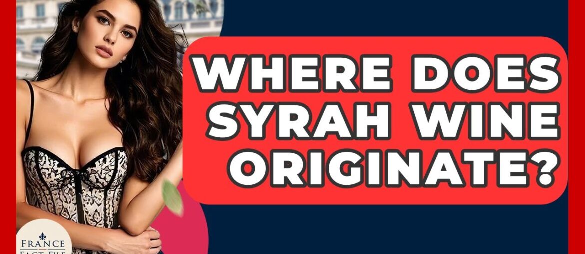 Where Does Syrah Wine Originate? – France Fact File Where Does Syrah Wine Originate? - France Fact File