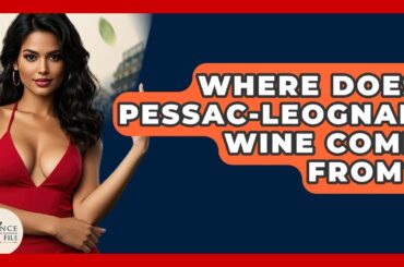 Where Does Pessac-Leognan Wine Come From? - France Fact File