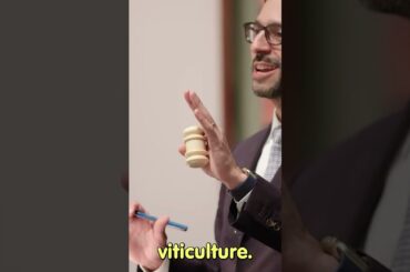 Here is the expensive bottle of wine  #wine #pinotnoir #mostexpensivewine #frenchwine