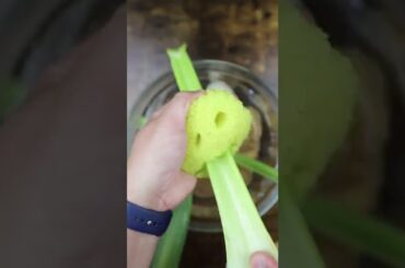 Remy's Potato & Leek Soup, Ratatouille. No gonna lie I ate it on lunch and dinner for 2 days!