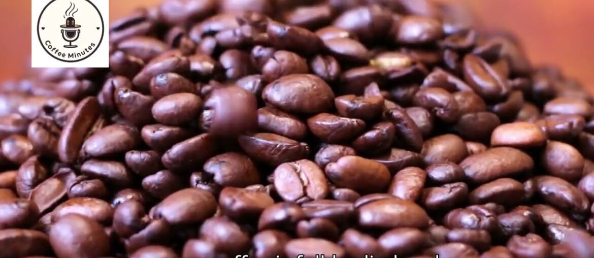 Episode #13 French Press vs  Drip Coffee  Which One Is Best