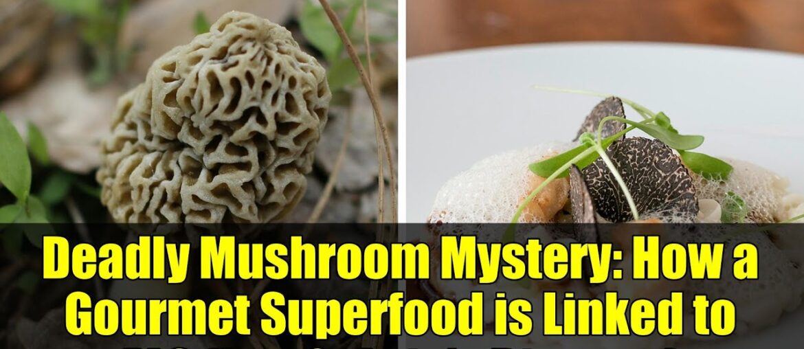 Deadly Mushroom Mystery: How a Gourmet Superfood is Linked to ALS (Lou Gehrig’s Disease)
