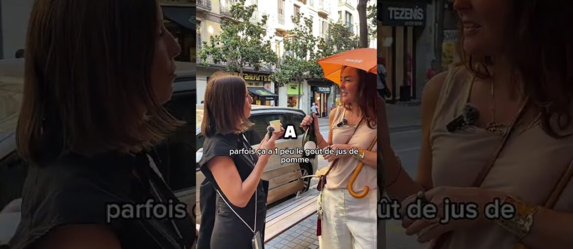 Can You Tell It’s Zero Alcohol? French Test Can You Tell It’s Zero Alcohol? French Test