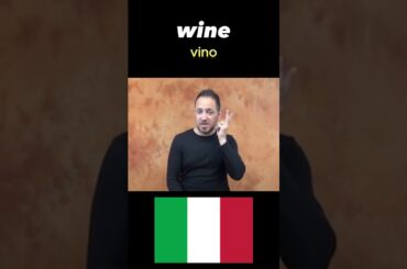 [World Sign Languages] How to Sign 'Wine' in 5 Different Countries