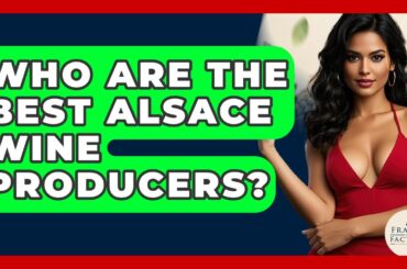 Who Are The Best Alsace Wine Producers? - France Fact File