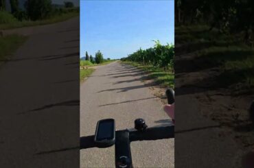 How is it Like | Riding the Cycle Wine Road - Alsace, France  #cycling #gopro