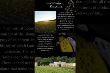 Unveiling the Essence of a Legend: Domaine De Chevalier #wine #winelover #cheerstowine