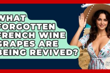 What Forgotten French Wine Grapes Are Being Revived? - France Fact File