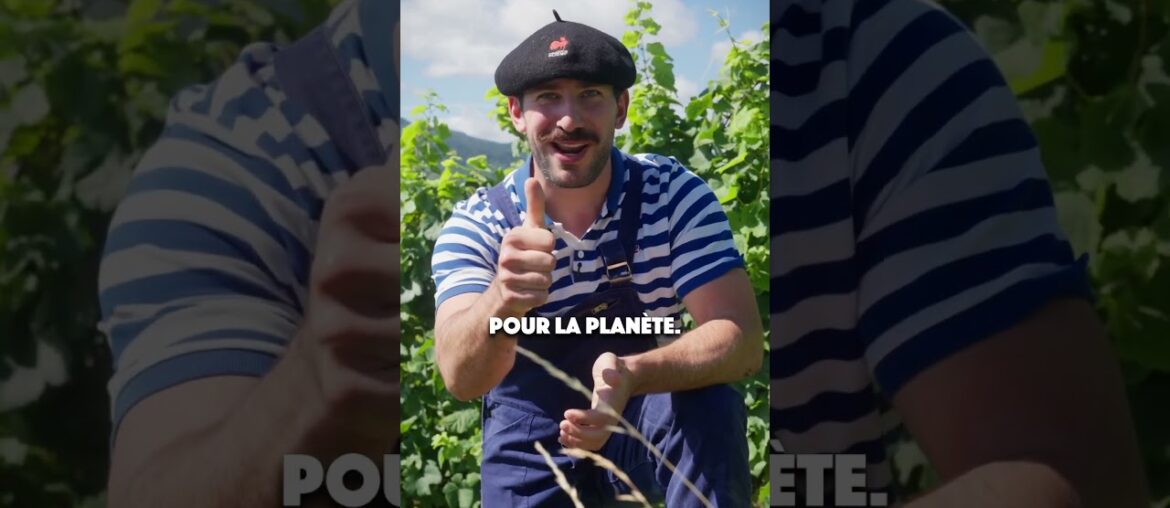 C’EST QUOI CE COMPLOT ? #france #culture #vin