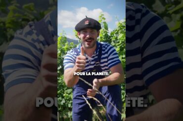C’EST QUOI CE COMPLOT ? #france #culture #vin