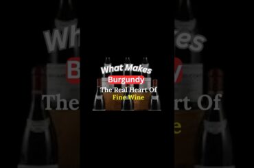 What Makes Burgundy So Unique ? | The Real Heart Of Fine Wine  #wine #sommelier #burgundy