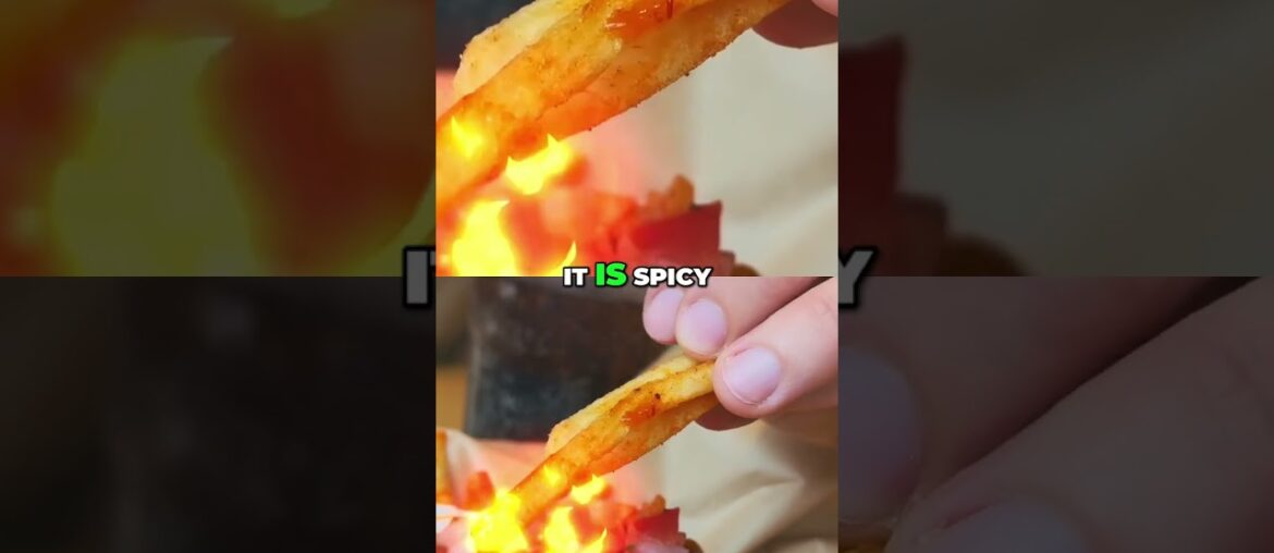 Taco Bell’s Loaded Fries: Taste Test & Spicy Review! #shorts Taco Bell's Loaded Fries: Taste Test & Spicy Review! #shorts
