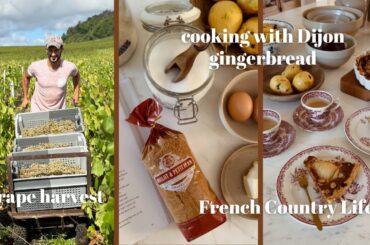 Life in France in September