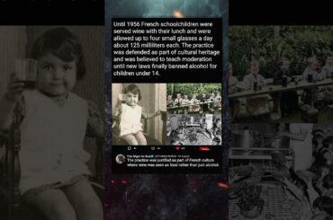 When French Kids Drank Wine at School