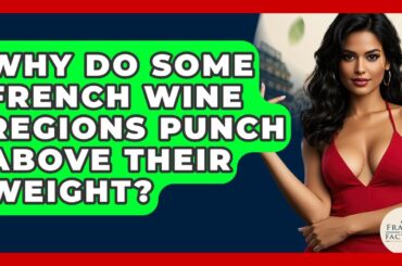 Why Do Some French Wine Regions Punch Above Their Weight? - France Fact File