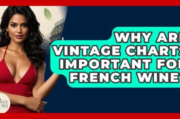 Why Are Vintage Charts Important For French Wine? - France Fact File