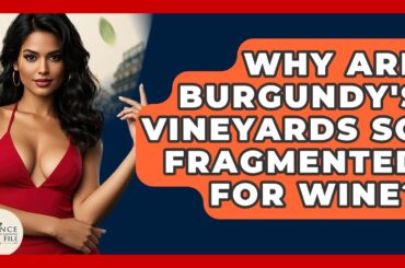 Why Are Burgundy's Vineyards So Fragmented For Wine? - France Fact File