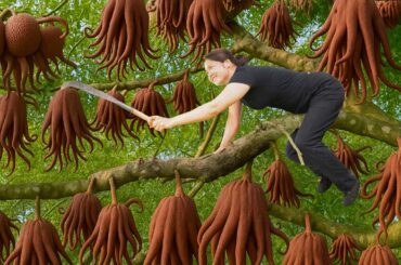 Harvesting Sacred Buddha's Hand Fruit & Making French Fries | Traditional Village Recipe