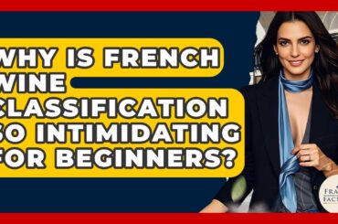 Why Is French Wine Classification So Intimidating For Beginners? - France Fact File