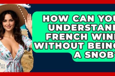 How Can You Understand French Wine Without Being A Snob? - France Fact File