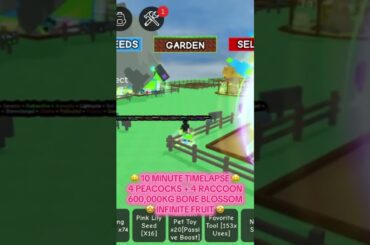 LEVEL 100 RAINBOW KITSUNE MONTHLY GIVEAWAY @dariusfarmss