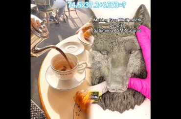 My review of Carette in Paris #paris #traveltiktok